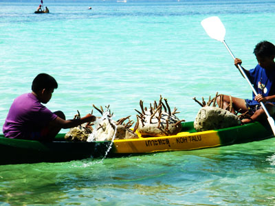 On the occasion of His Majesty the King’s 84th birthday in 2011, in gratitude of the King’s compassion to Thai people, Koh Talu Island Resort, with its continual and genuine commitment to safeguard the environment, will launch “Coral Plantation Project in Honor of His Majesty the King”