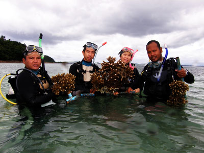 As a Coral Reef Reservation Area, Koh Talu marine ecosystem is rich with various marine lives and is known as the most beautiful coral reef spot in Thai Bay. Due to its prosperous natural eco system, it was reported that there are sea turtles laying eggs ashore in Koh Talu area for 11 times in 2011 after 10 years absence of such behavior around southern part of Thailand’s central region. 